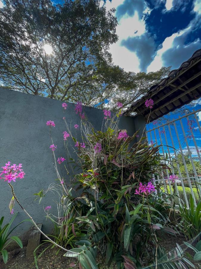 Zeus Guesthouse -Free Sjo Airport Shuttle La Garita (Alajuela) Exterior foto